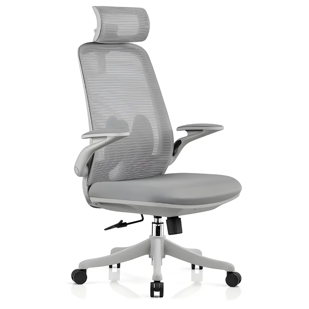 Zonanth Ergonomic Office Chair - Image 2