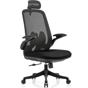Zonanth Ergonomic Office Chair