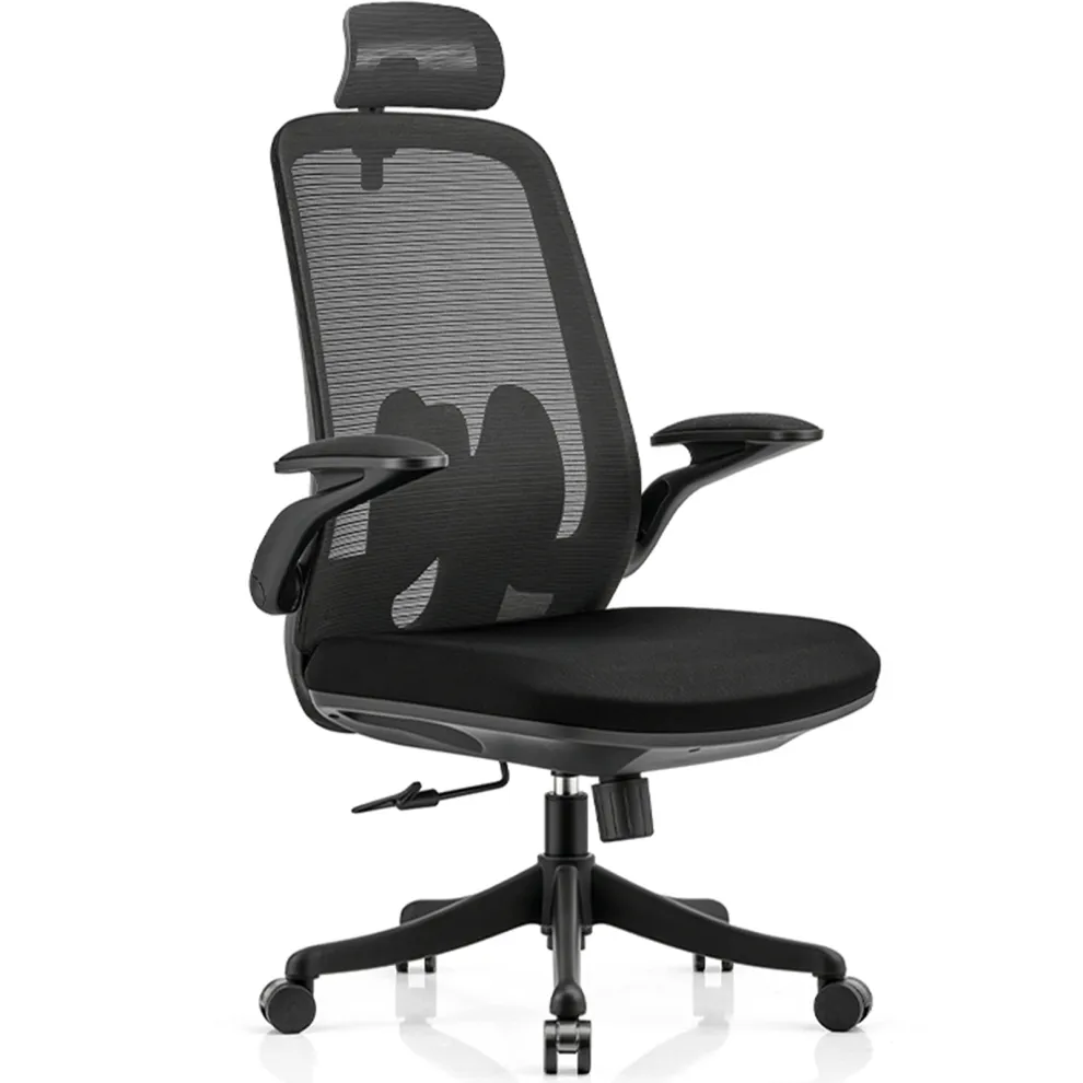 Zonanth Ergonomic Office Chair